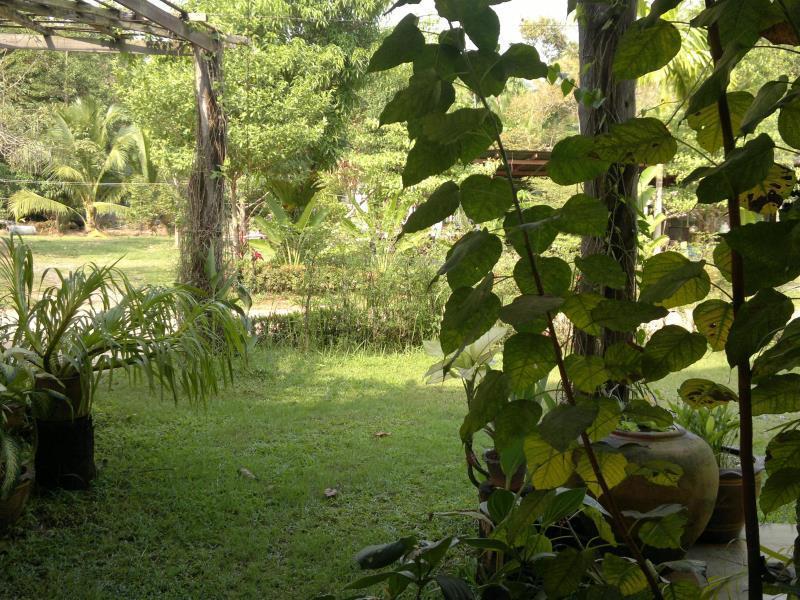 The Mangrove Hideaway Kohchang Κο Τσανγκ Εξωτερικό φωτογραφία