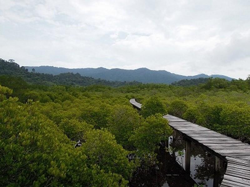 The Mangrove Hideaway Kohchang Κο Τσανγκ Εξωτερικό φωτογραφία